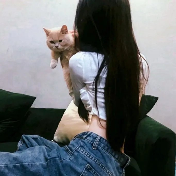 脱缰之马